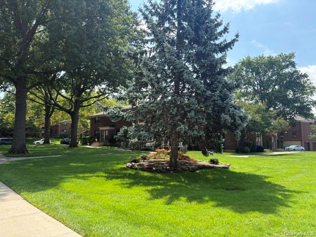 21947 74th Avenue, Unit A1 photo 3