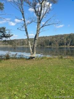 10 Dorm Drive – For Sale photo 5