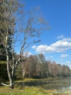10 Dorm Drive – For Sale photo 6