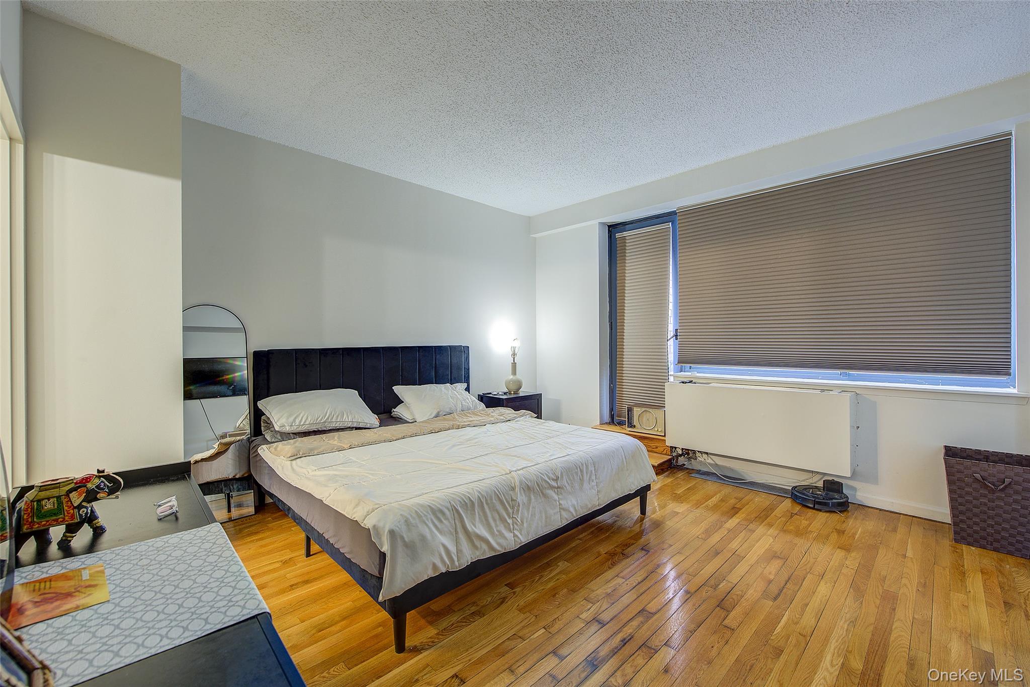 62-54 97th Place, Unit PHC photo 21