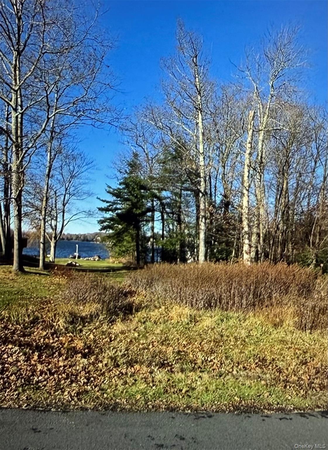 Lake Shore Drive E – For Sale photo 3