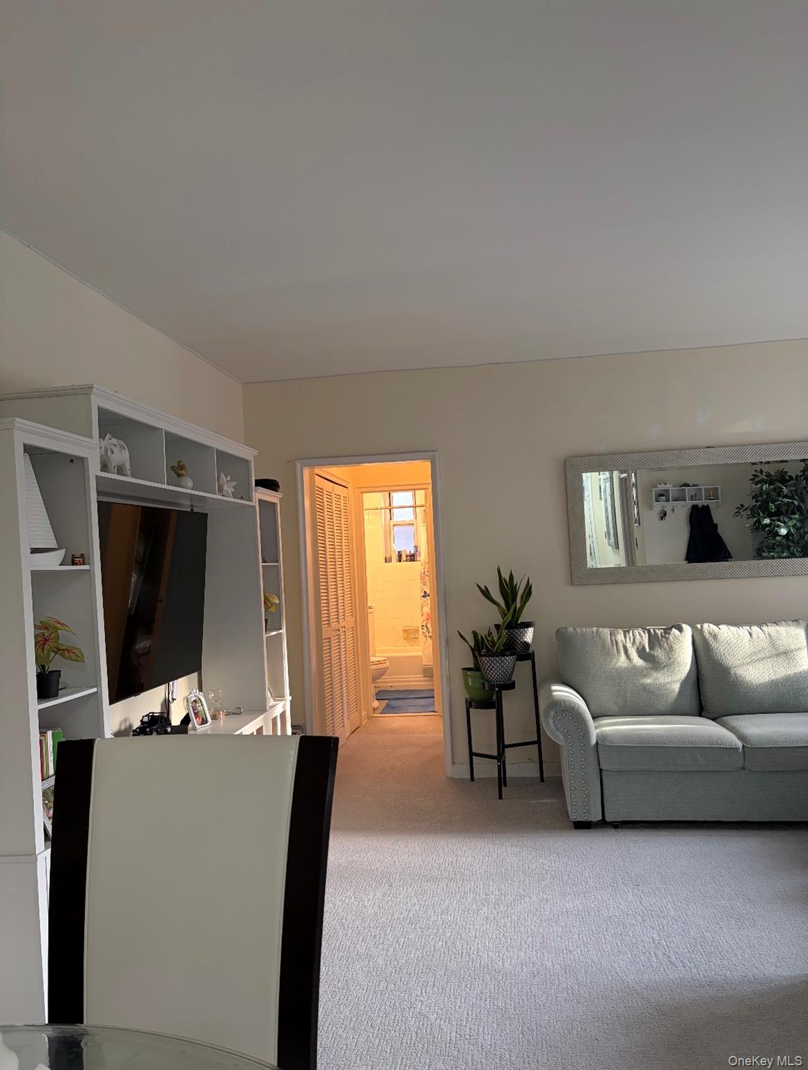 210 Pelham Road, Unit 5L photo 17