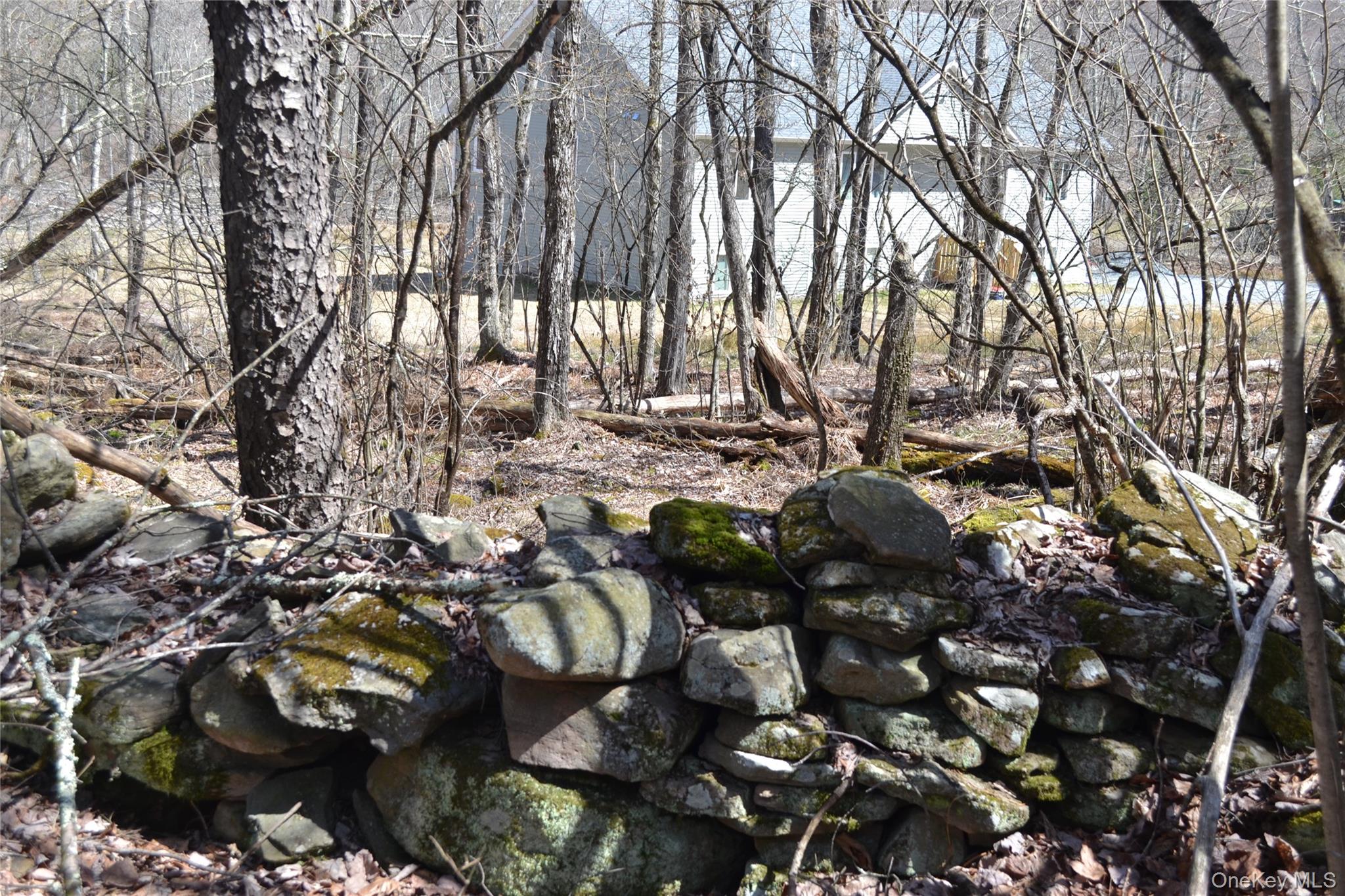 0 Garden House Road – For Sale photo 3