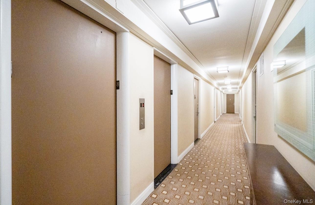 420 E 64th Street, Unit W8F photo 11