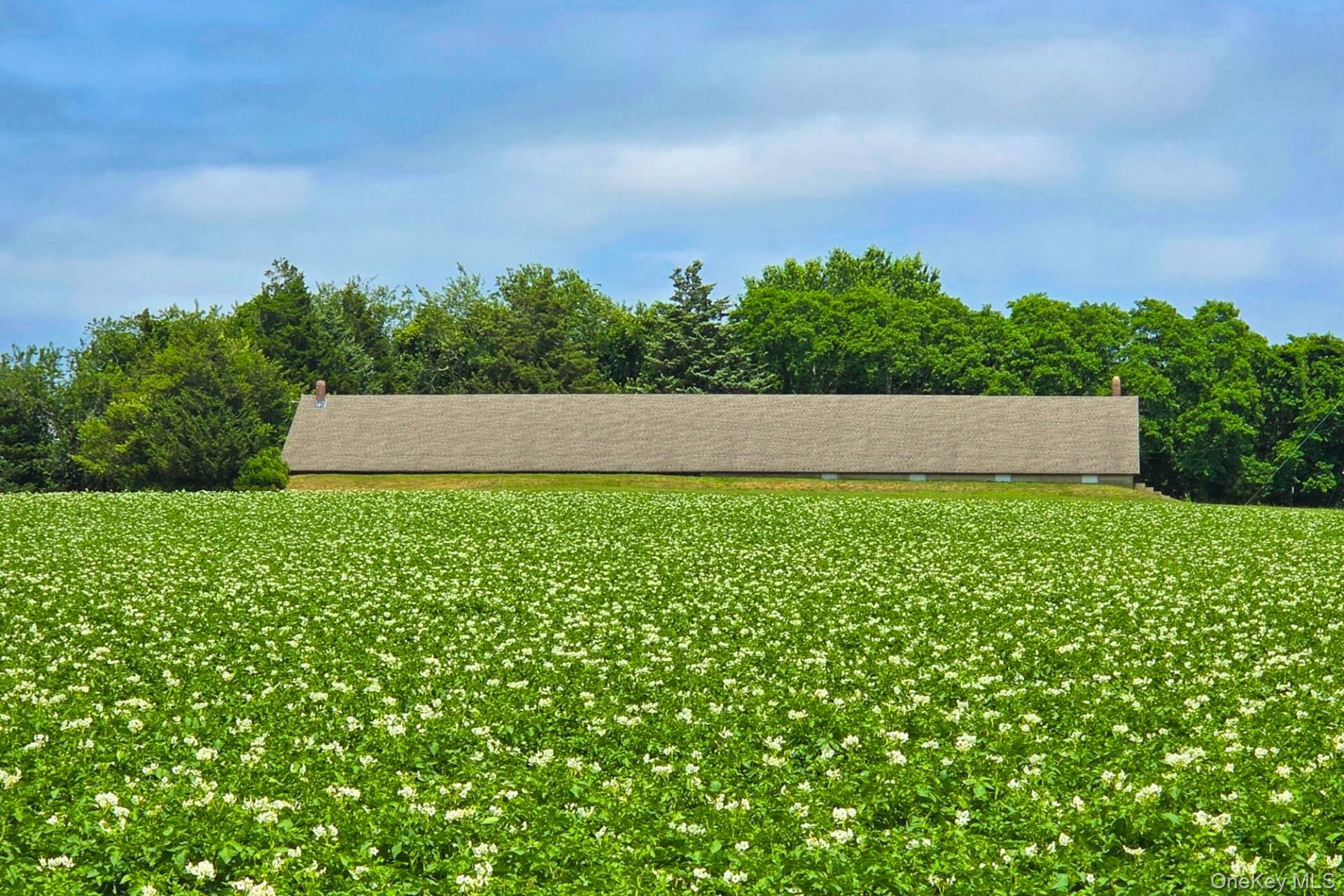 731 Deerfield (Lot #4) Road – For Sale photo 6