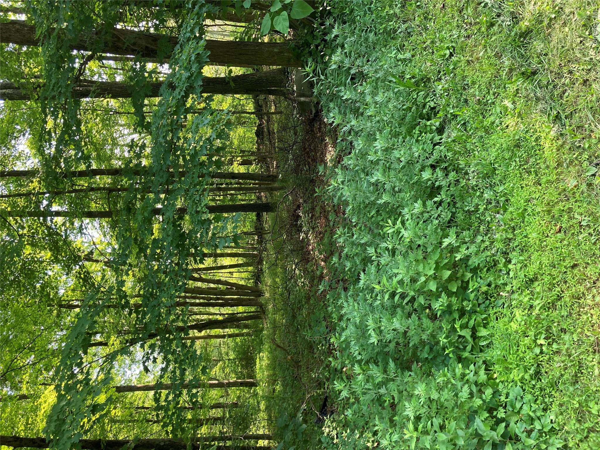 Adam Wagner Lane – For Sale photo 3