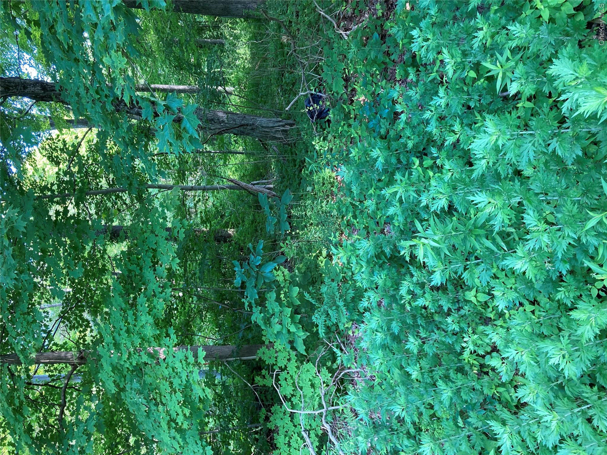 Adam Wagner Lane – For Sale photo 2