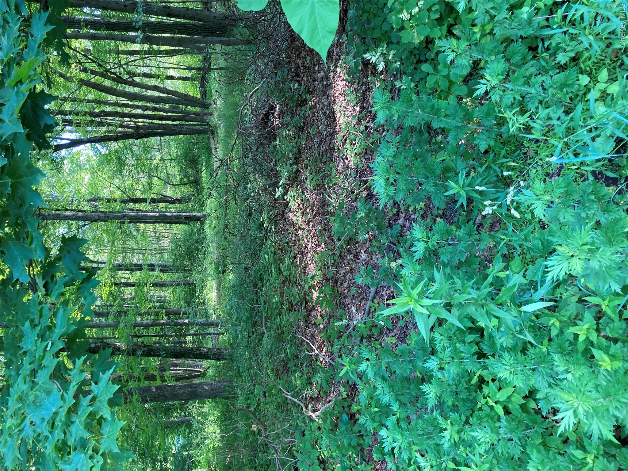 Adam Wagner Lane – For Sale
