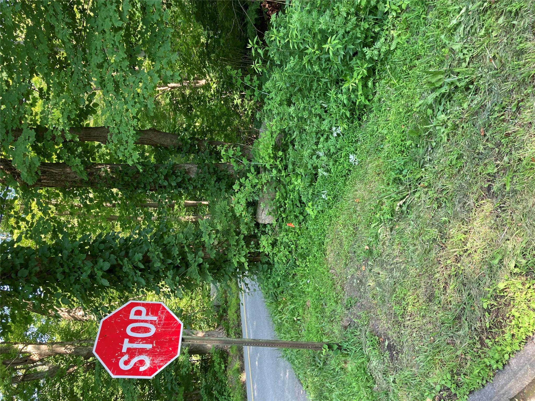 Adam Wagner Lane – For Sale photo 16