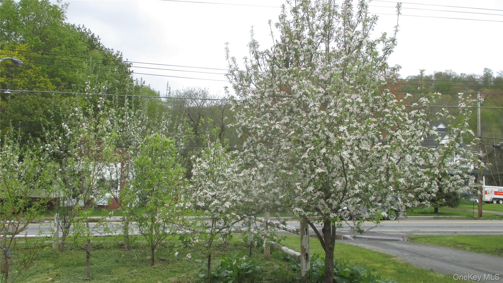 876 N Branch Hortonville Road – For Sale photo 22