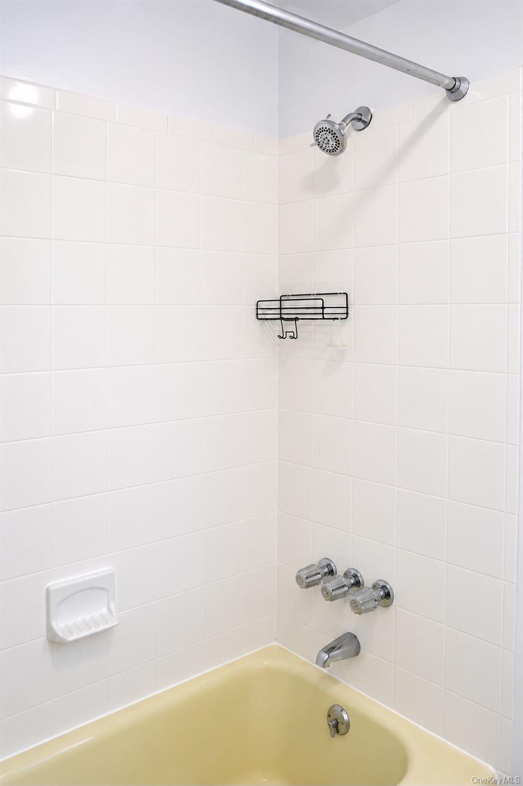 206 Winthrop Avenue, Unit 2 photo 10