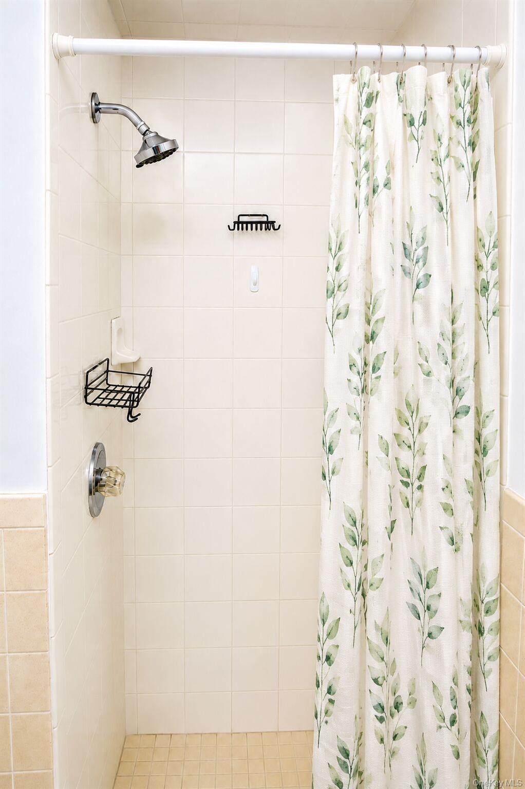 206 Winthrop Avenue, Unit 2 photo 23