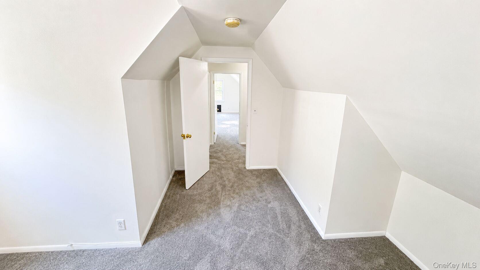 206 Winthrop Avenue, Unit 2 photo 17