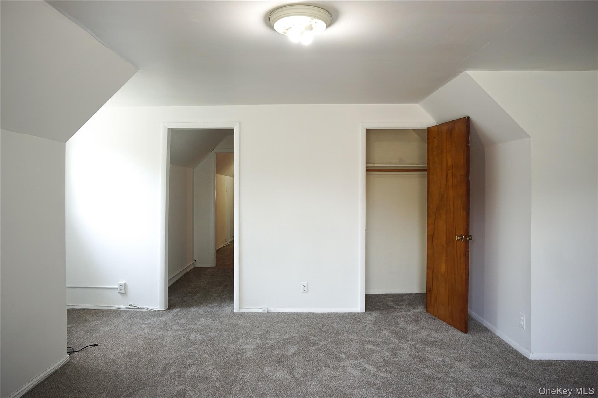 206 Winthrop Avenue, Unit 2 photo 6