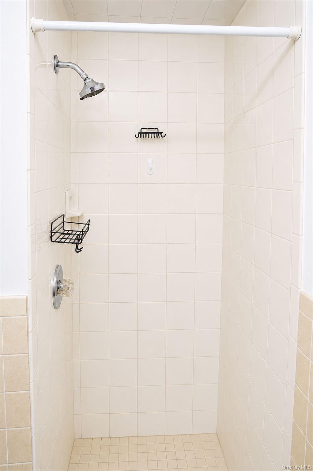 206 Winthrop Avenue, Unit 2 photo 22
