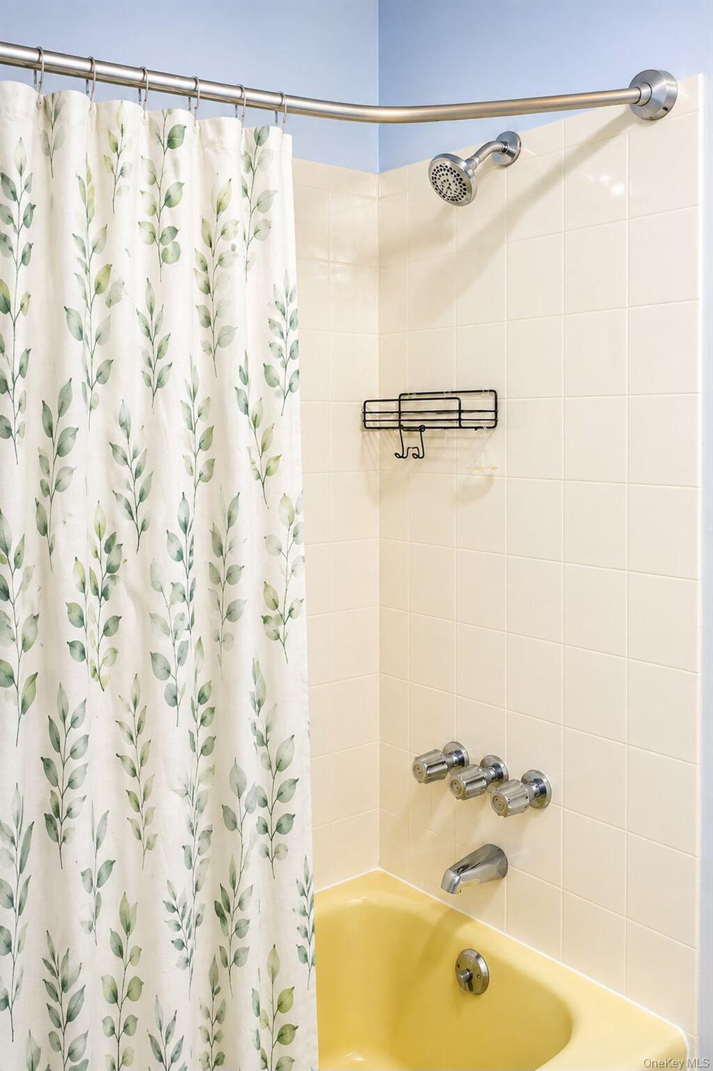 206 Winthrop Avenue, Unit 2 photo 11