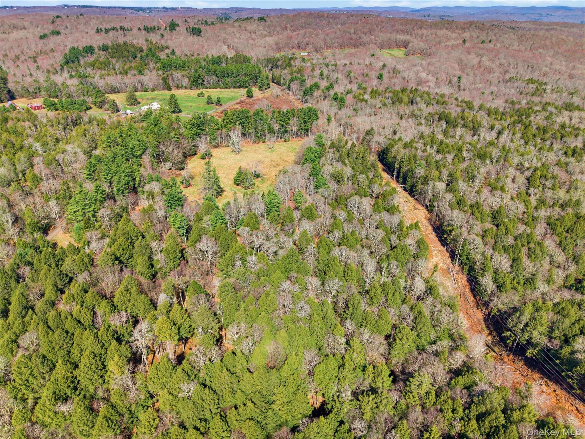 85 Lenape Lake Road – For Sale photo 11