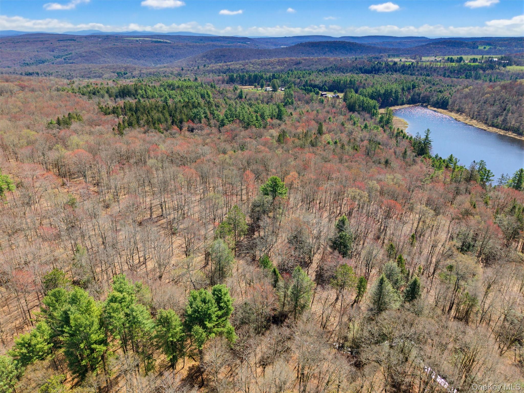 85 Lenape Lake Road – For Sale photo 8