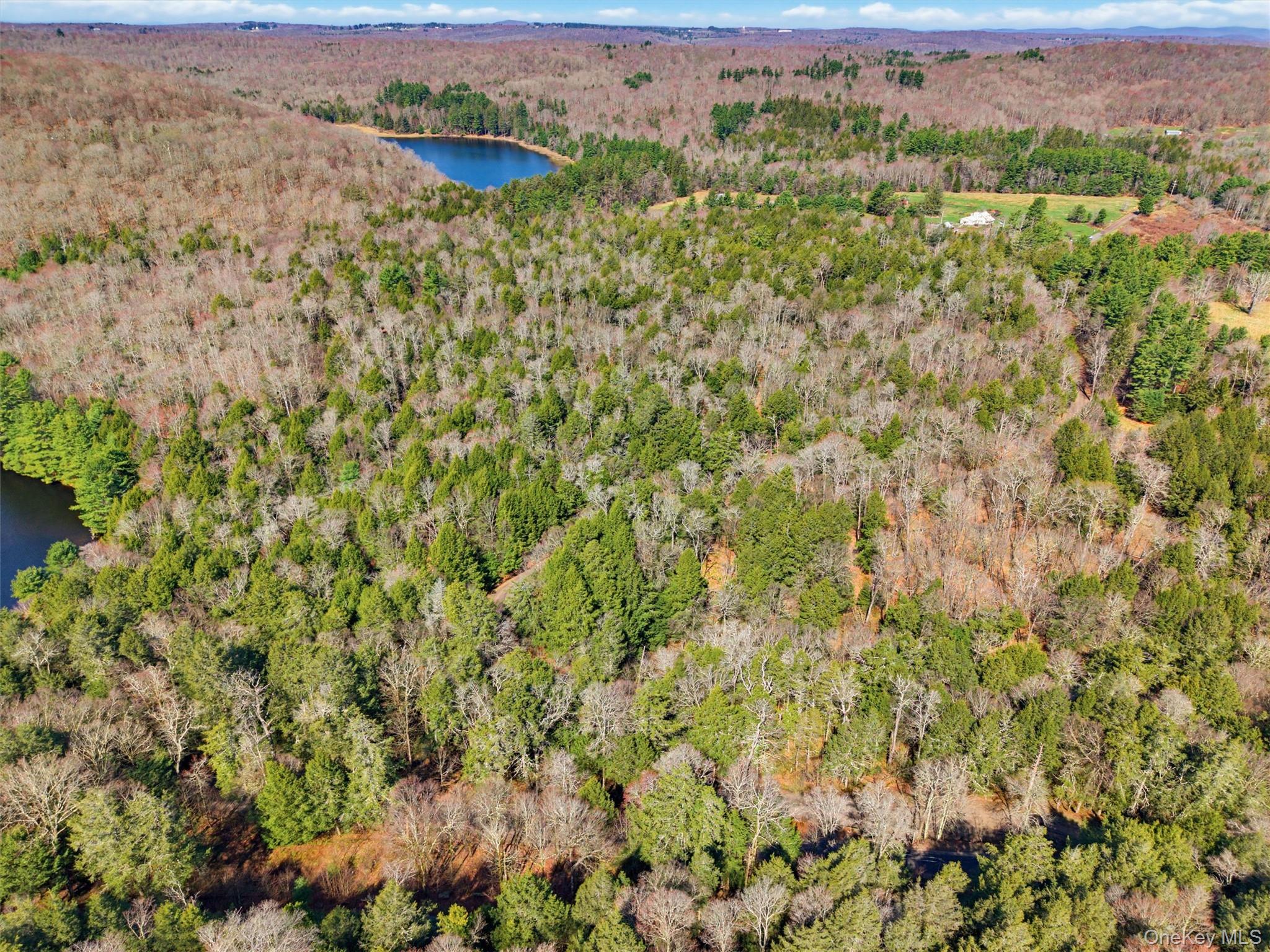 85 Lenape Lake Road – For Sale photo 10