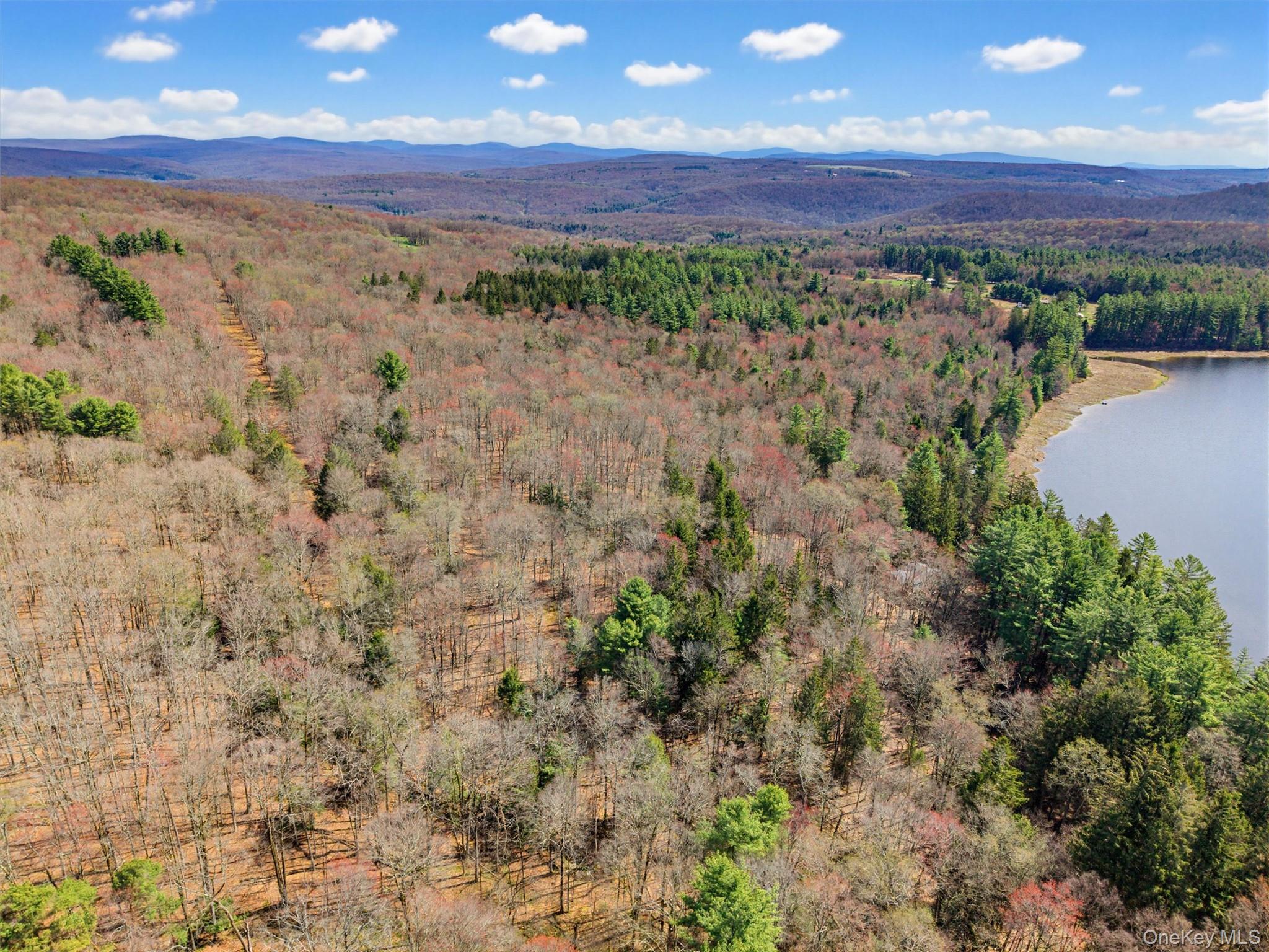 85 Lenape Lake Road – For Sale photo 6