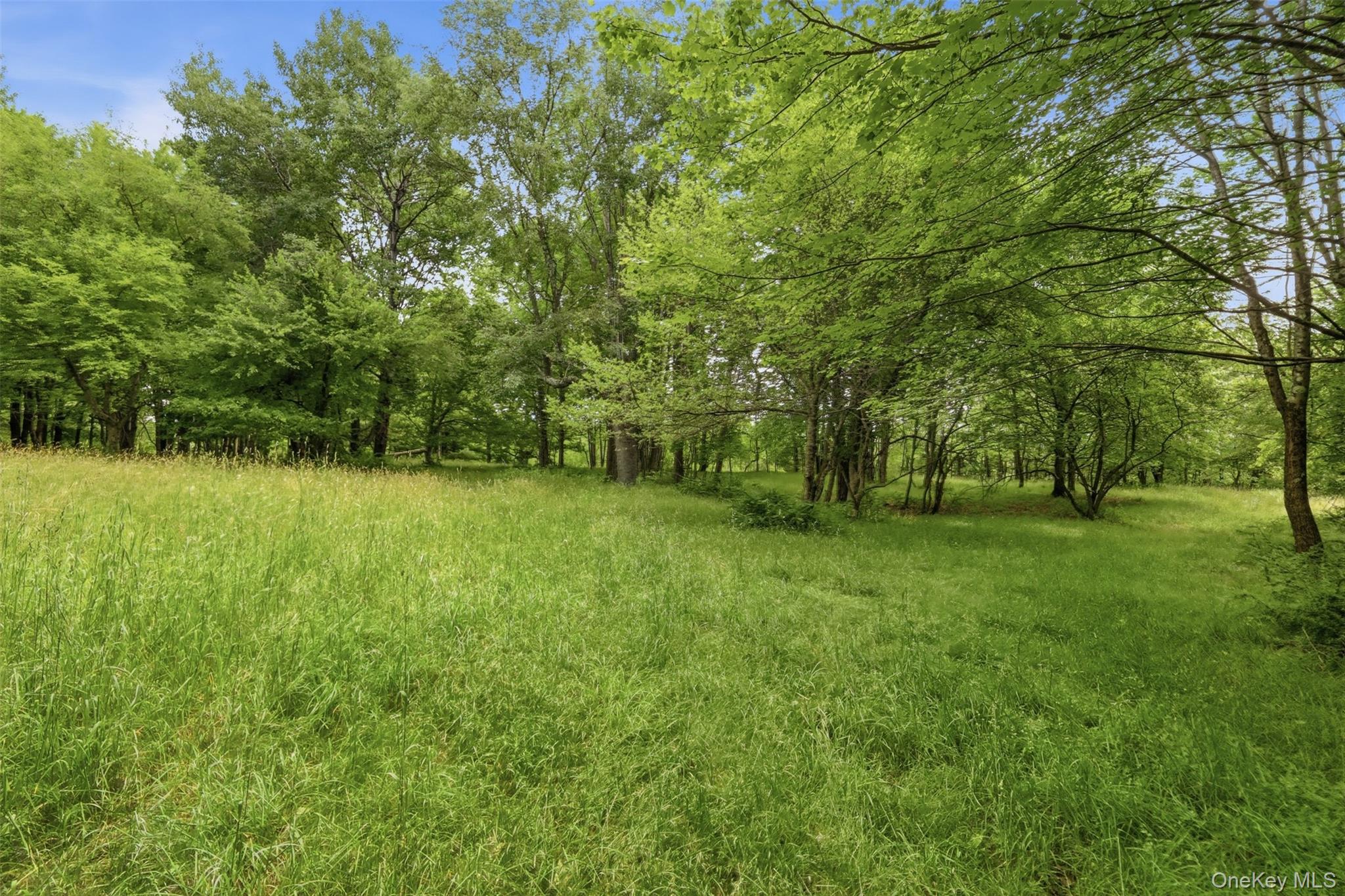 California Avenue – For Sale photo 14