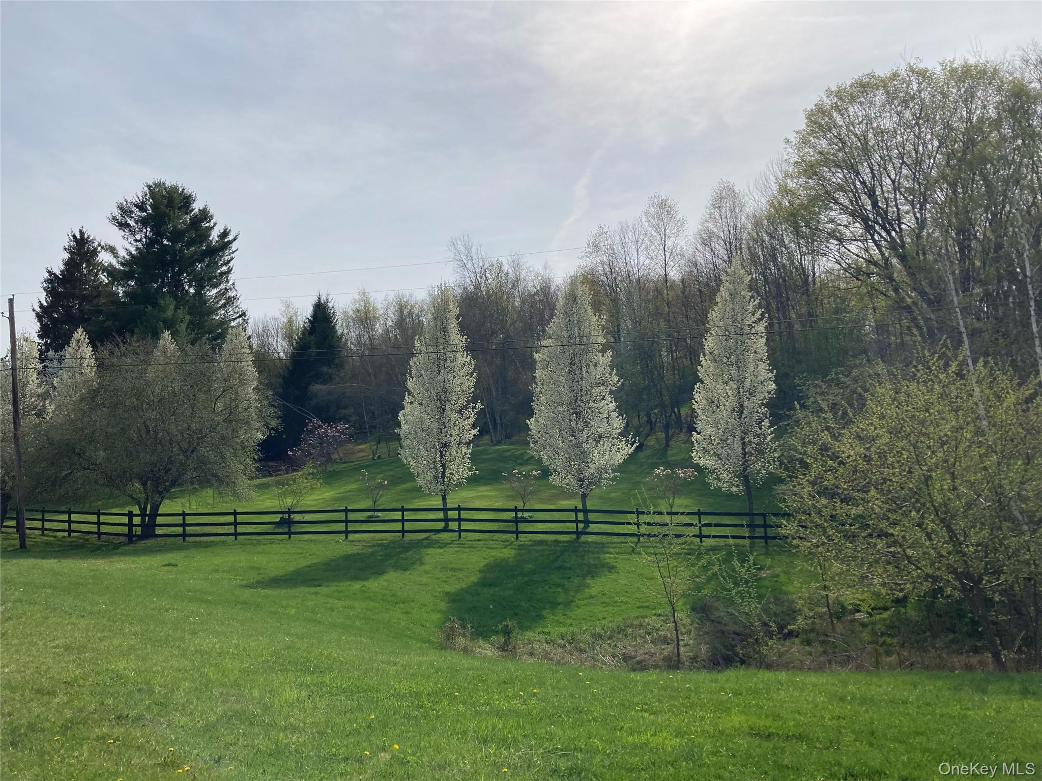 California Avenue – For Sale photo 19
