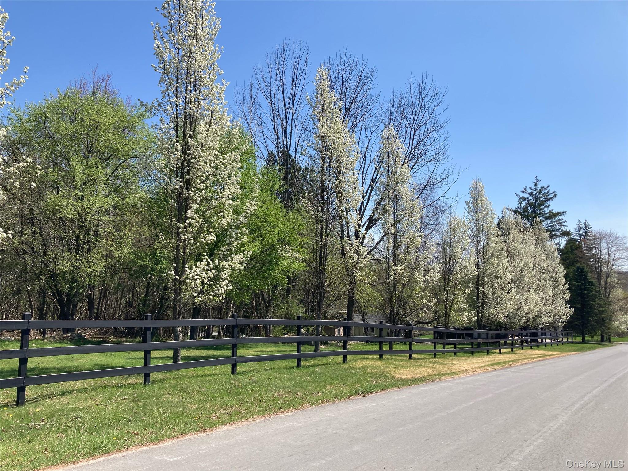 California Avenue – For Sale photo 17