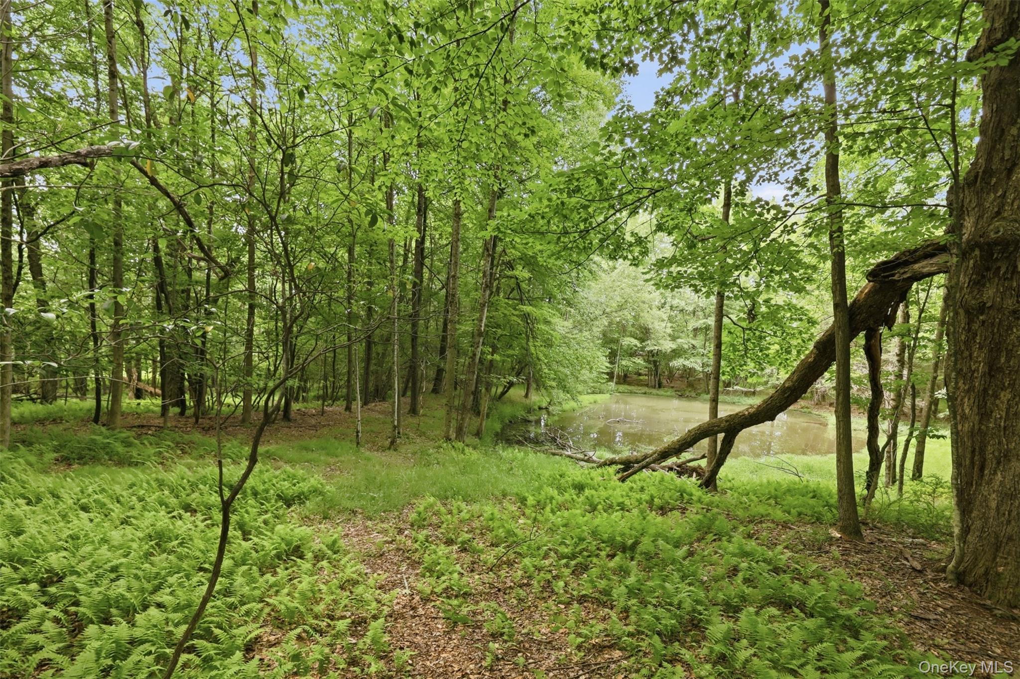 California Avenue – For Sale photo 18