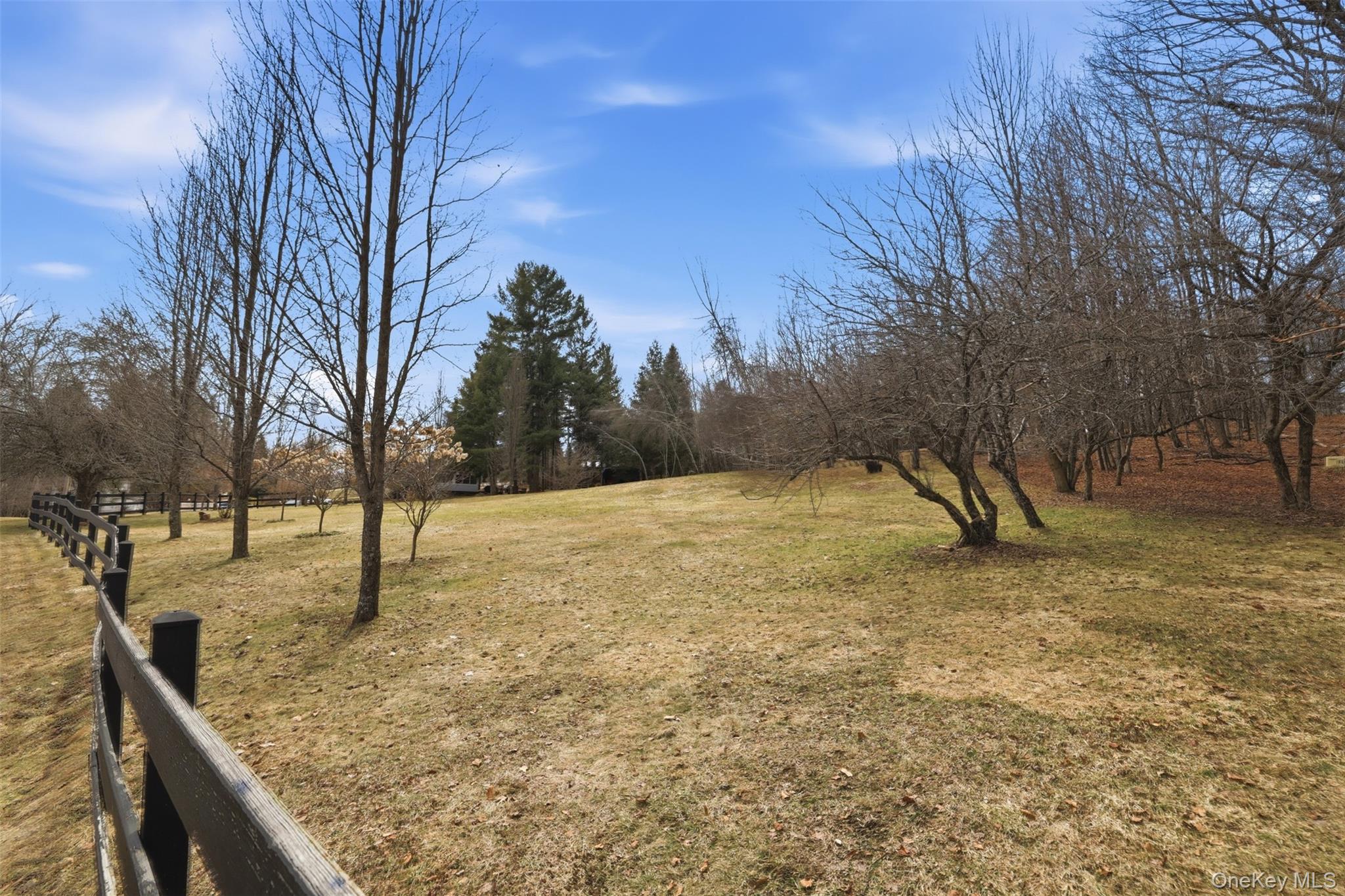 California Avenue – For Sale photo 28
