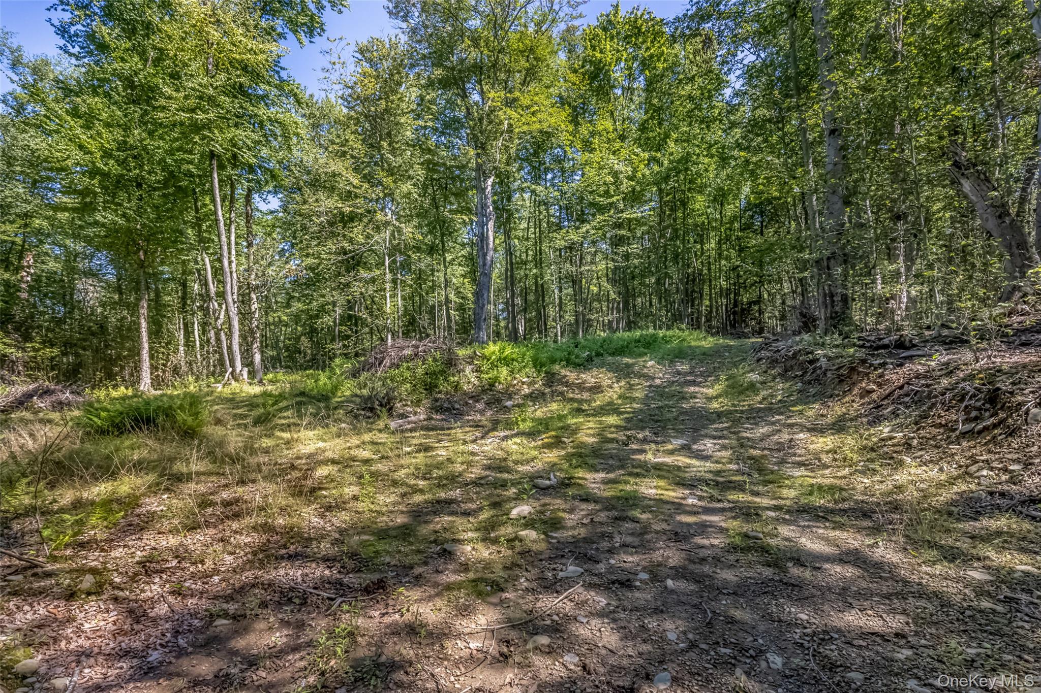 Camp Road – For Sale photo 10