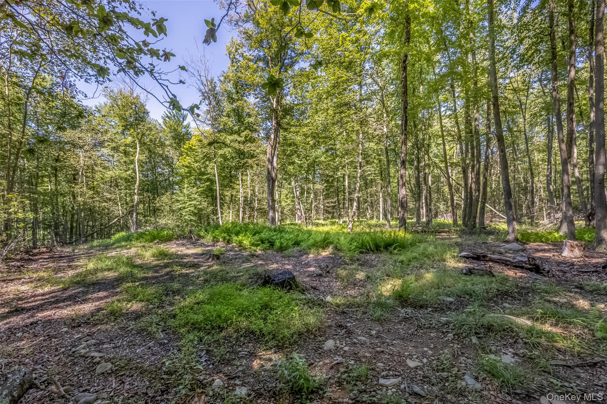 Camp Road – For Sale photo 9