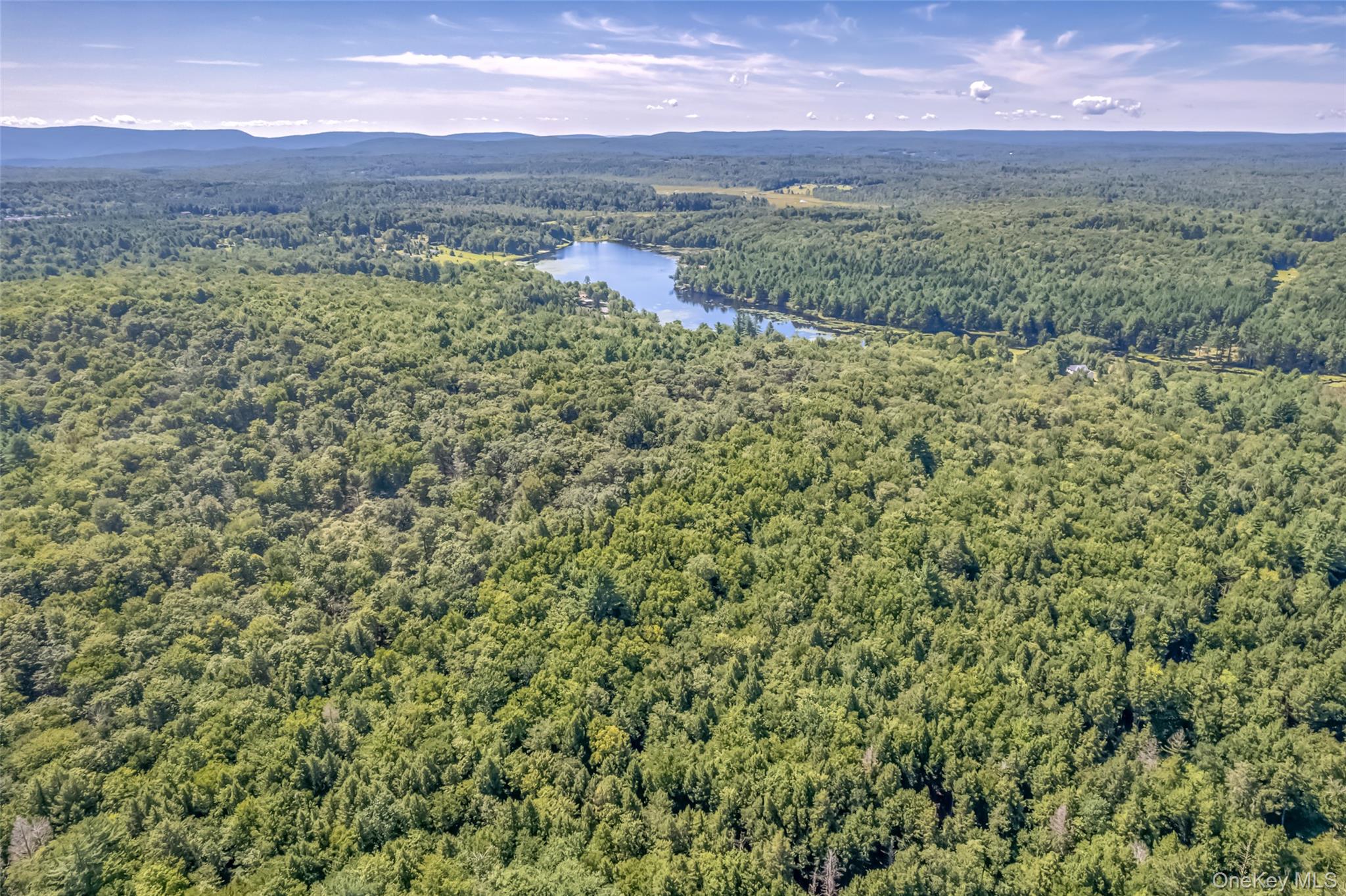 Camp Road – For Sale photo 3