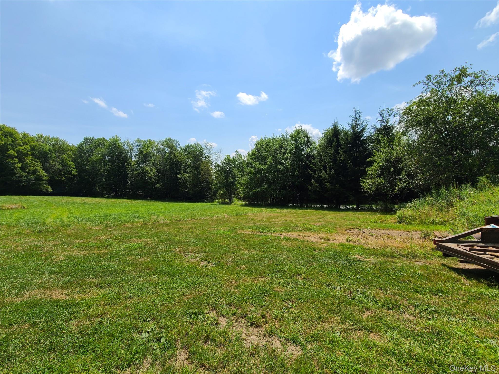 TBD Stump Pond Road – For Sale photo 10