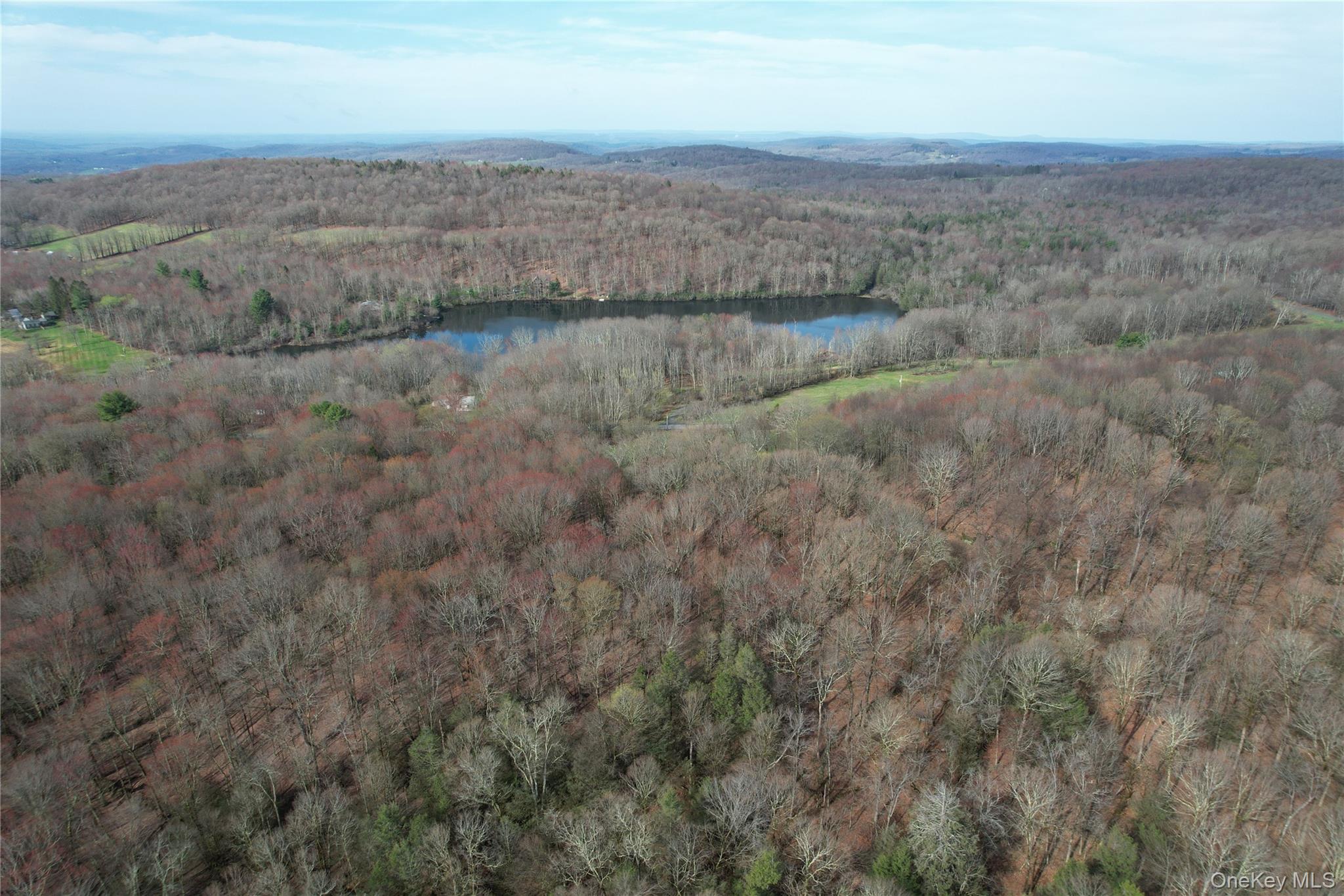 TBD Stump Pond Road – For Sale photo 4