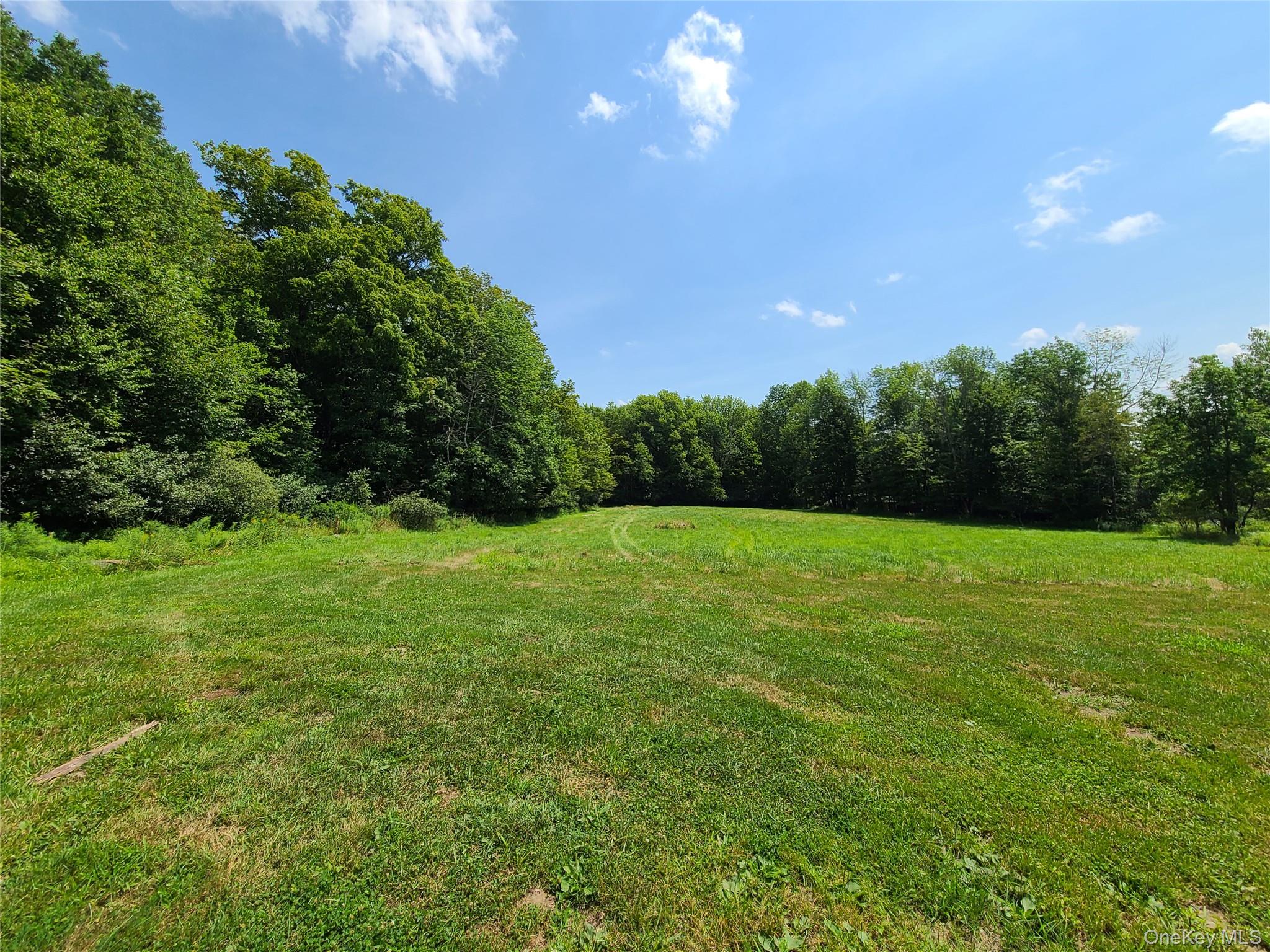 TBD Stump Pond Road – For Sale photo 12