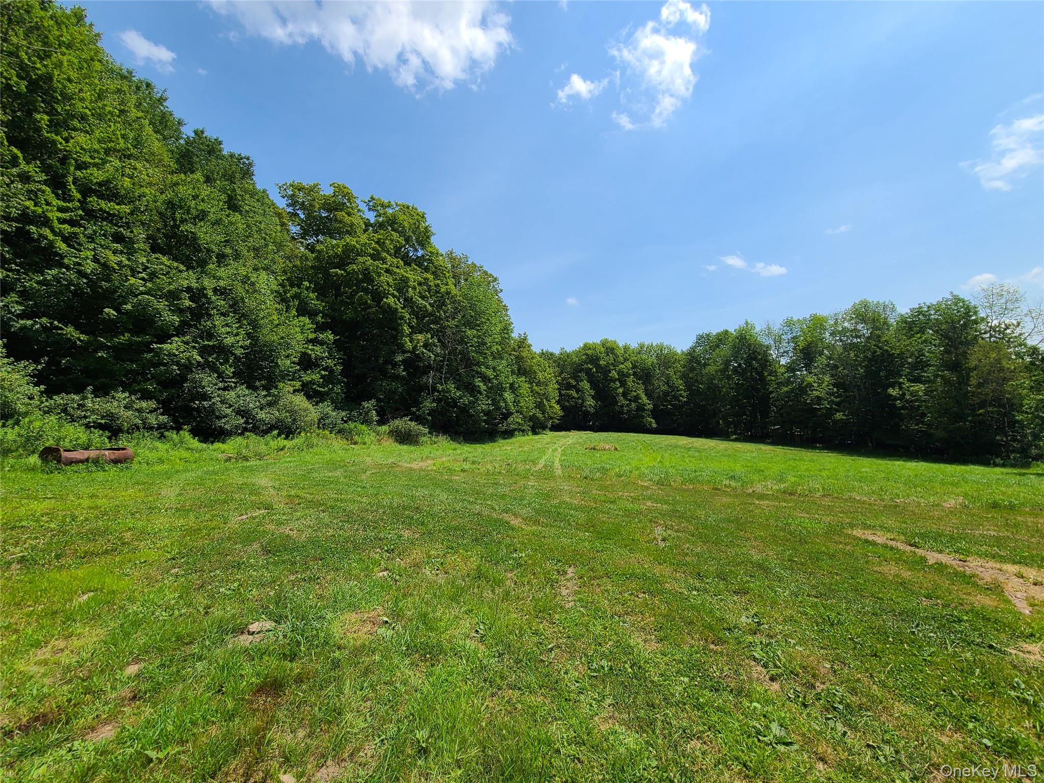 TBD Stump Pond Road – For Sale photo 9