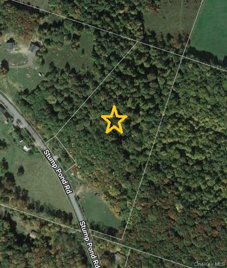 TBD Stump Pond Road – For Sale photo 6