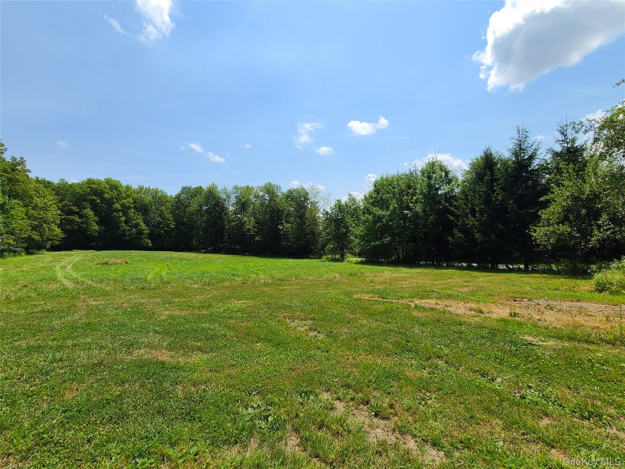 TBD Stump Pond Road – For Sale photo 11