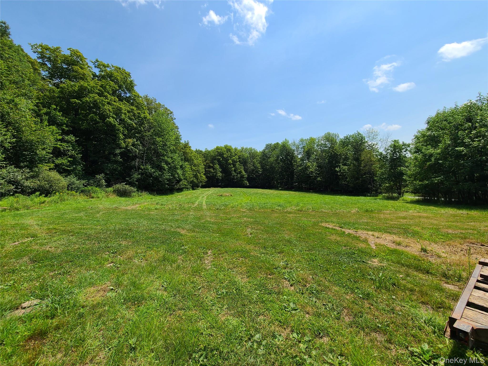 TBD Stump Pond Road – For Sale photo 8