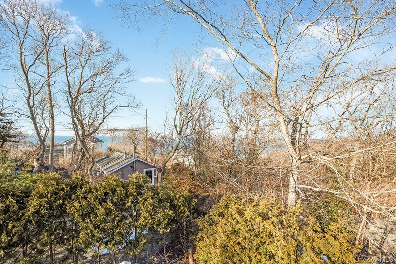 356 Oakleigh Avenue, Unit 17 photo 33
