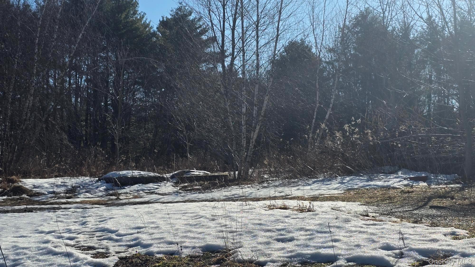 1122 State Route 52 – For Sale photo 3