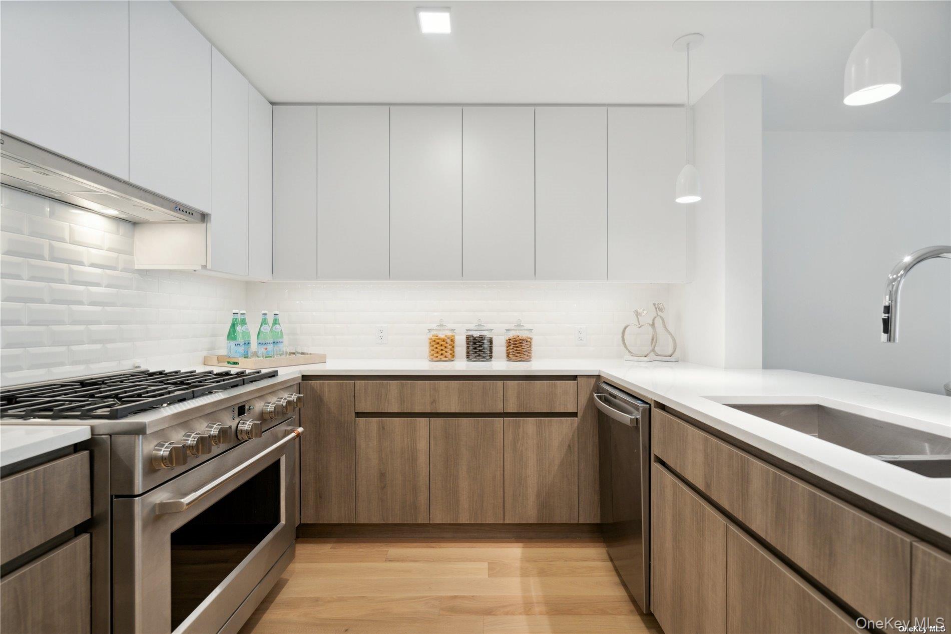 218 Middle Neck Road, Unit 102 photo 23