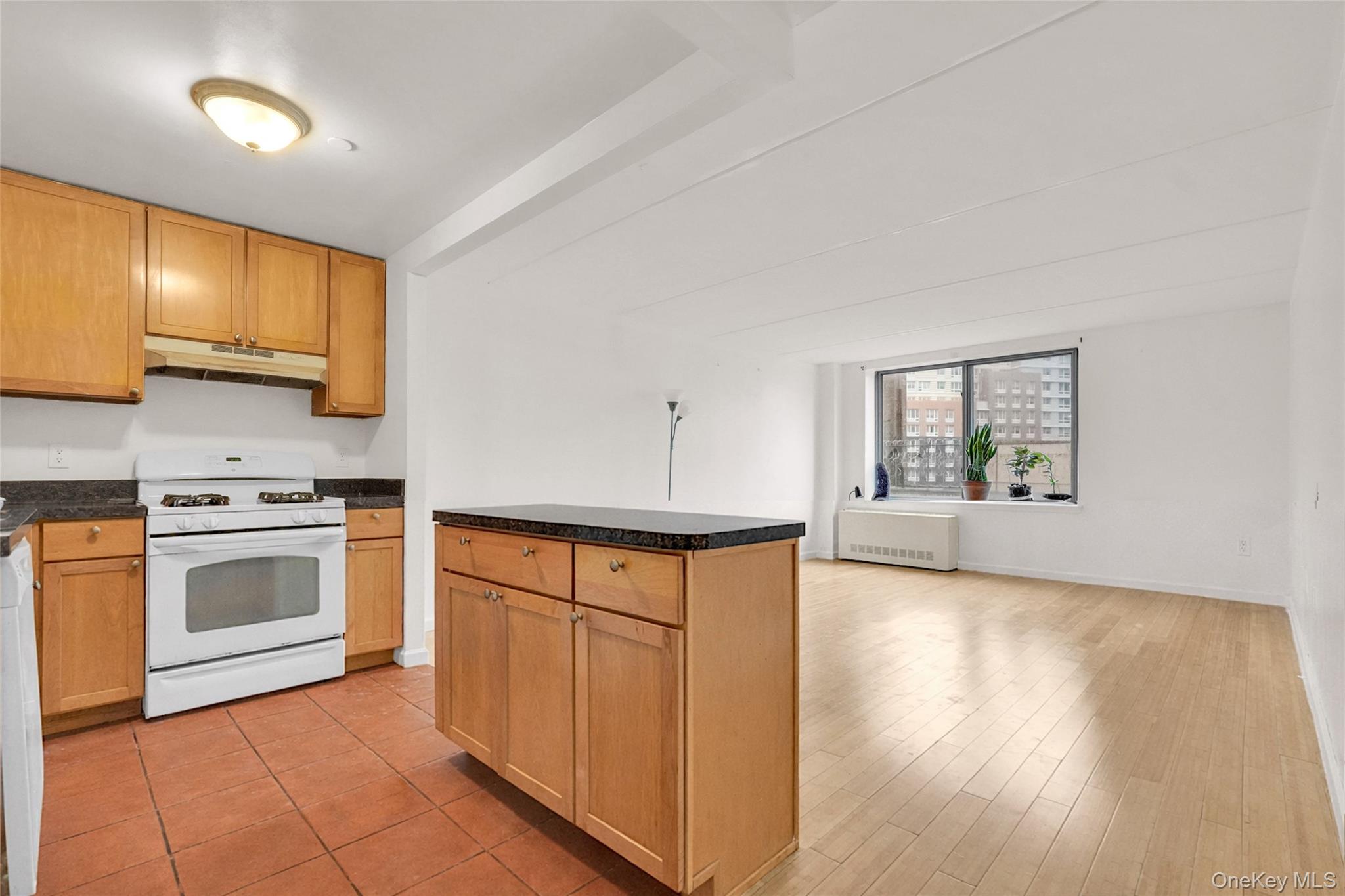 837 Washington Avenue, Unit 4B photo 4