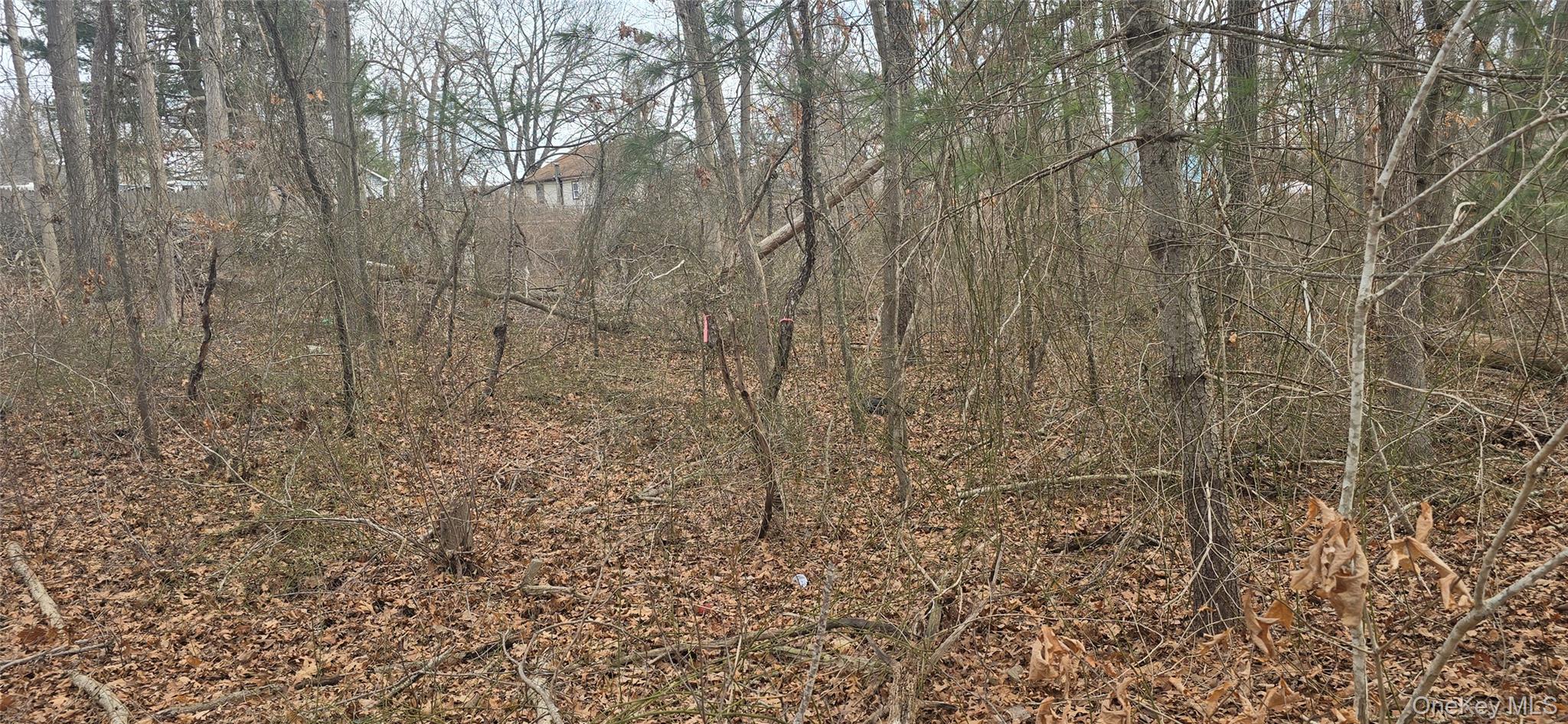 VL Bedford  lots 46&47 Avenue – For Sale photo 2