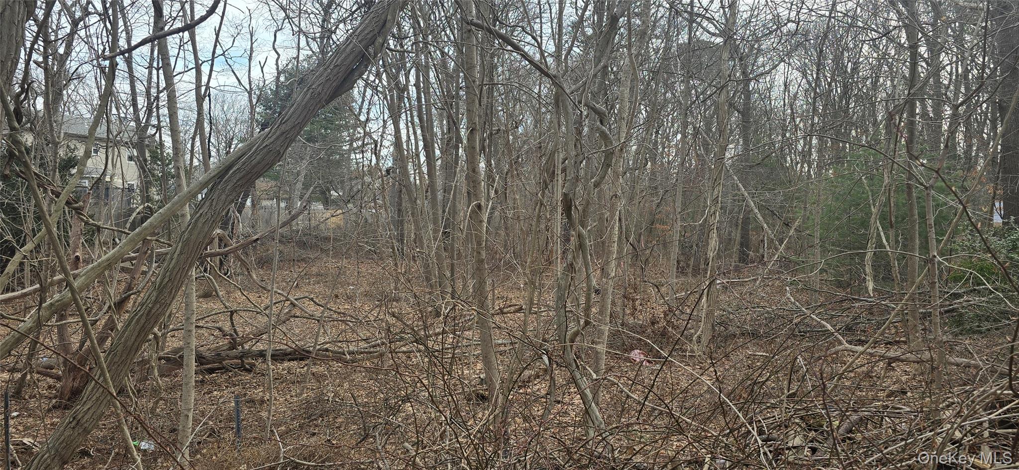 VL Bedford lots 46&47 Avenue – For Sale photo 3