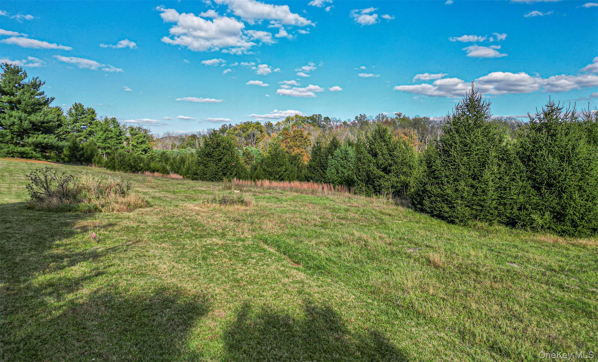 5 Spruce Hill Lane – For Sale photo 9