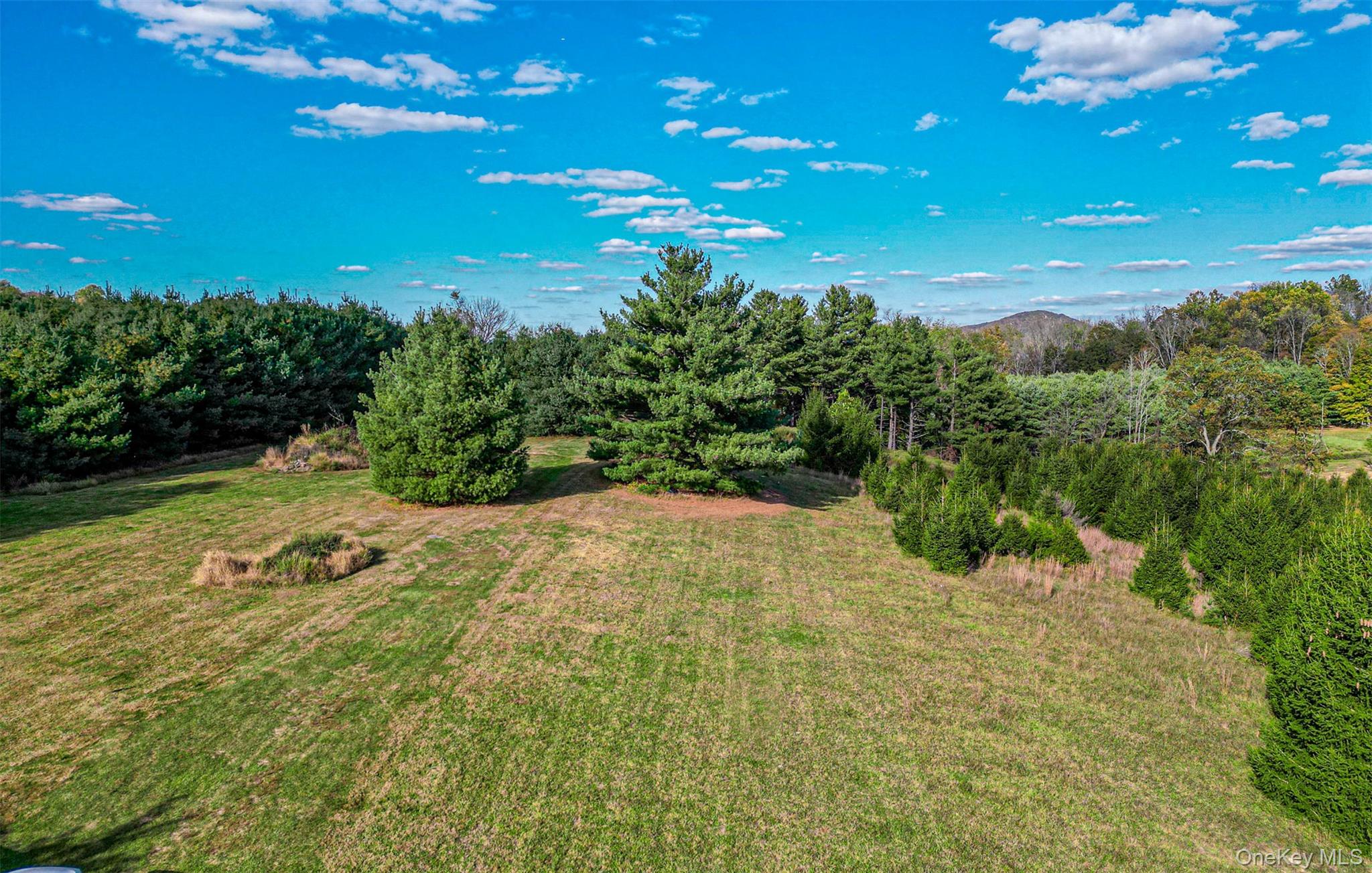 5 Spruce Hill Lane – For Sale photo 10