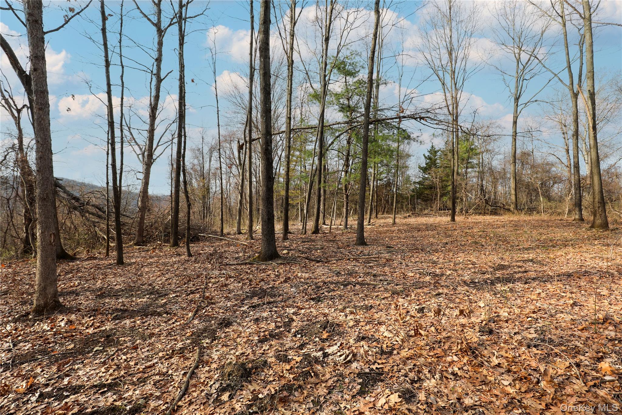 625 Broadway – For Sale photo 22