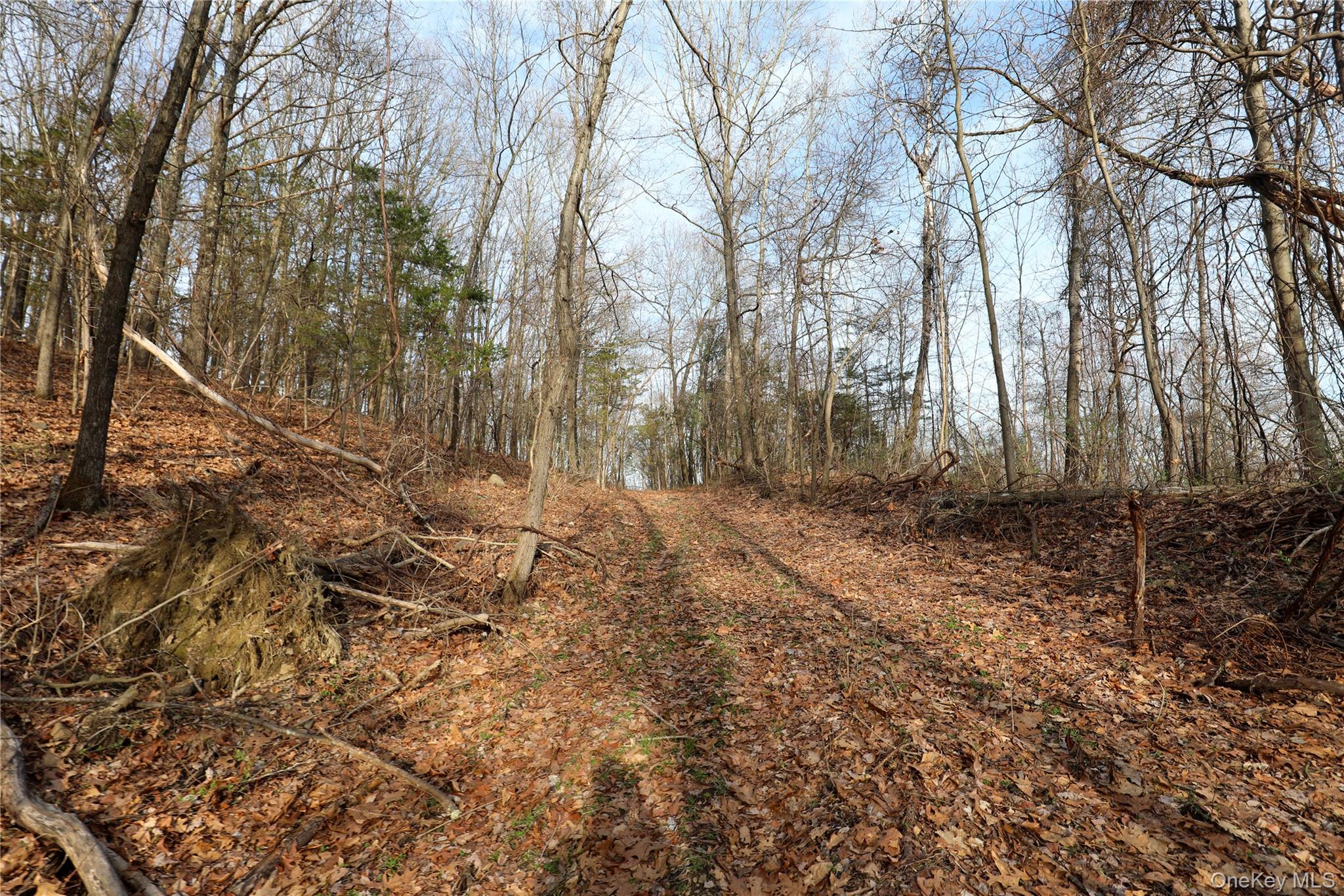 625 Broadway – For Sale photo 10
