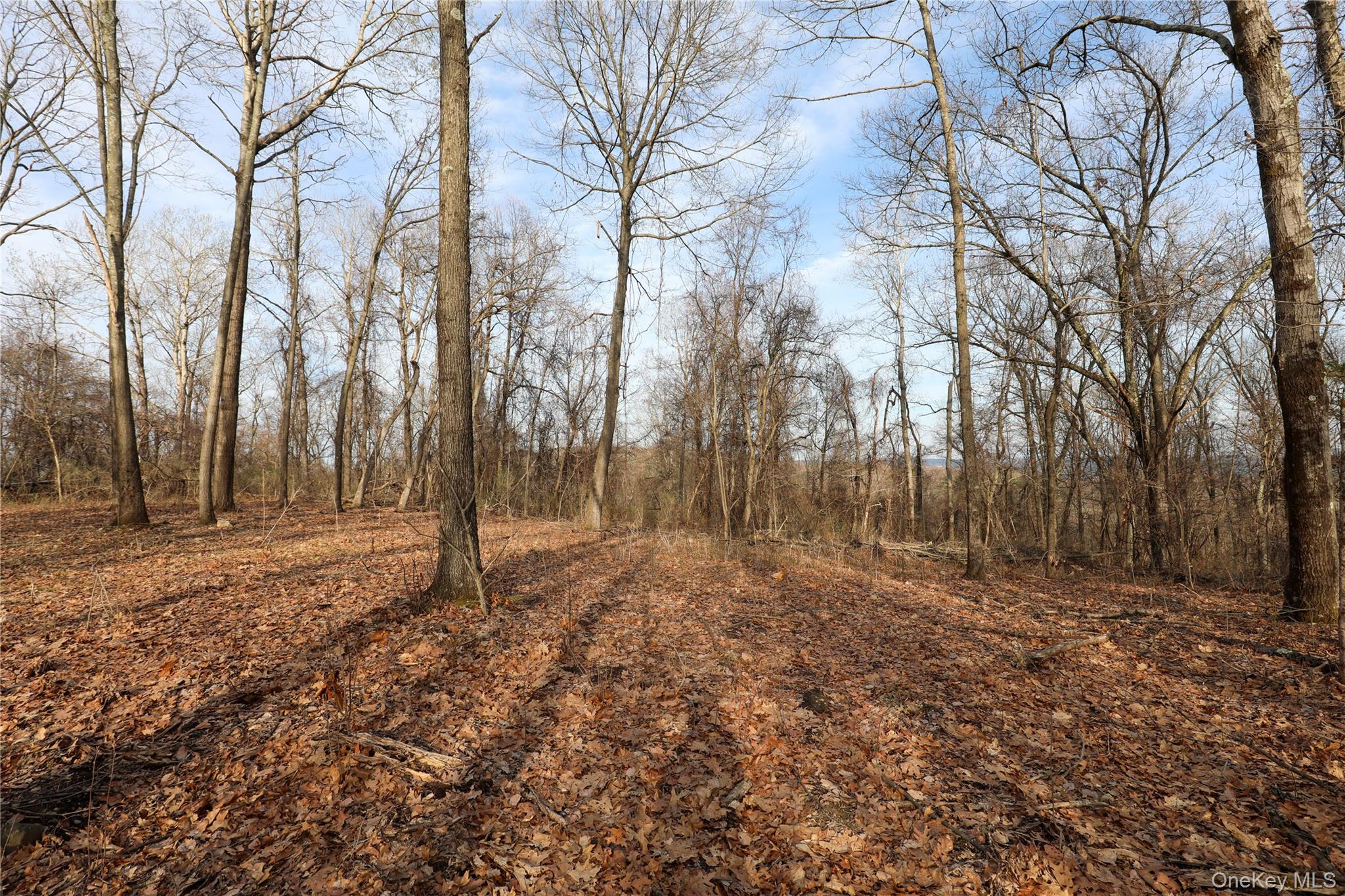 625 Broadway – For Sale photo 16